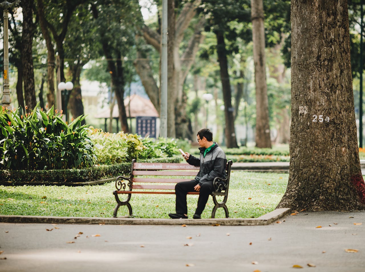 Man using smartphone on bench in a lush, green park in Ho Chi Minh City. Tranquil outdoor scene.